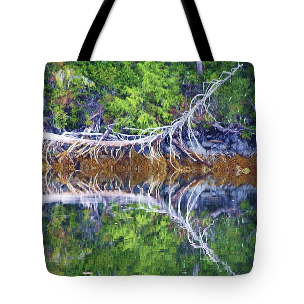 Reflection Tote Bag featuring the photograph Symmetry by Fred Bailey