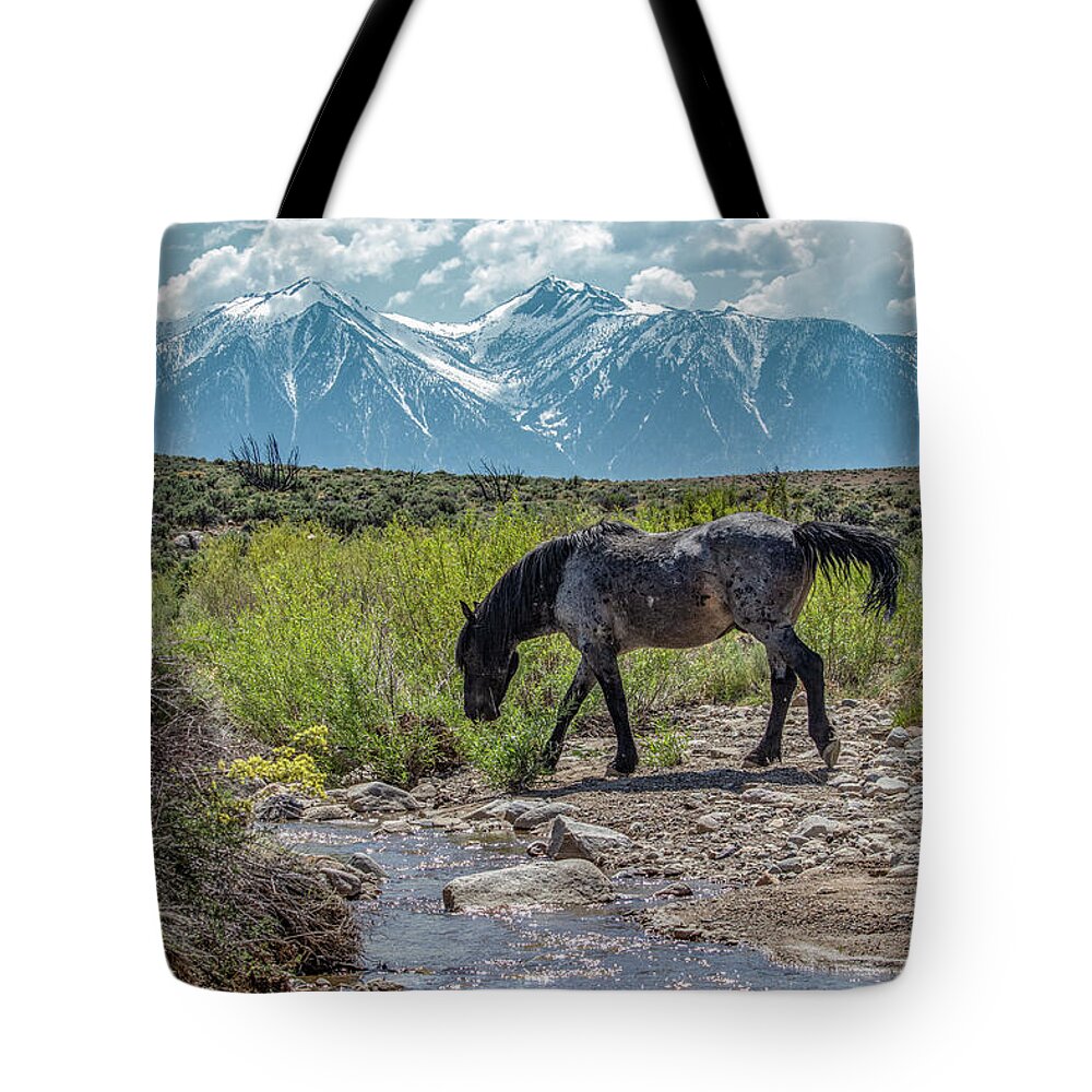  Tote Bag featuring the photograph _t__0634 by John T Humphrey