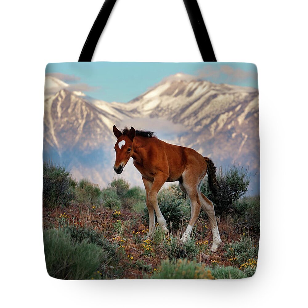  Tote Bag featuring the photograph _T__2665Lg by John T Humphrey