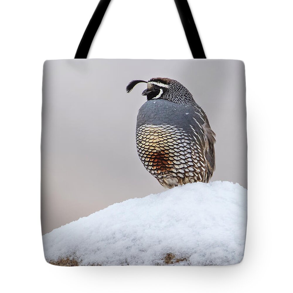  Tote Bag featuring the photograph _t__3405 by John T Humphrey