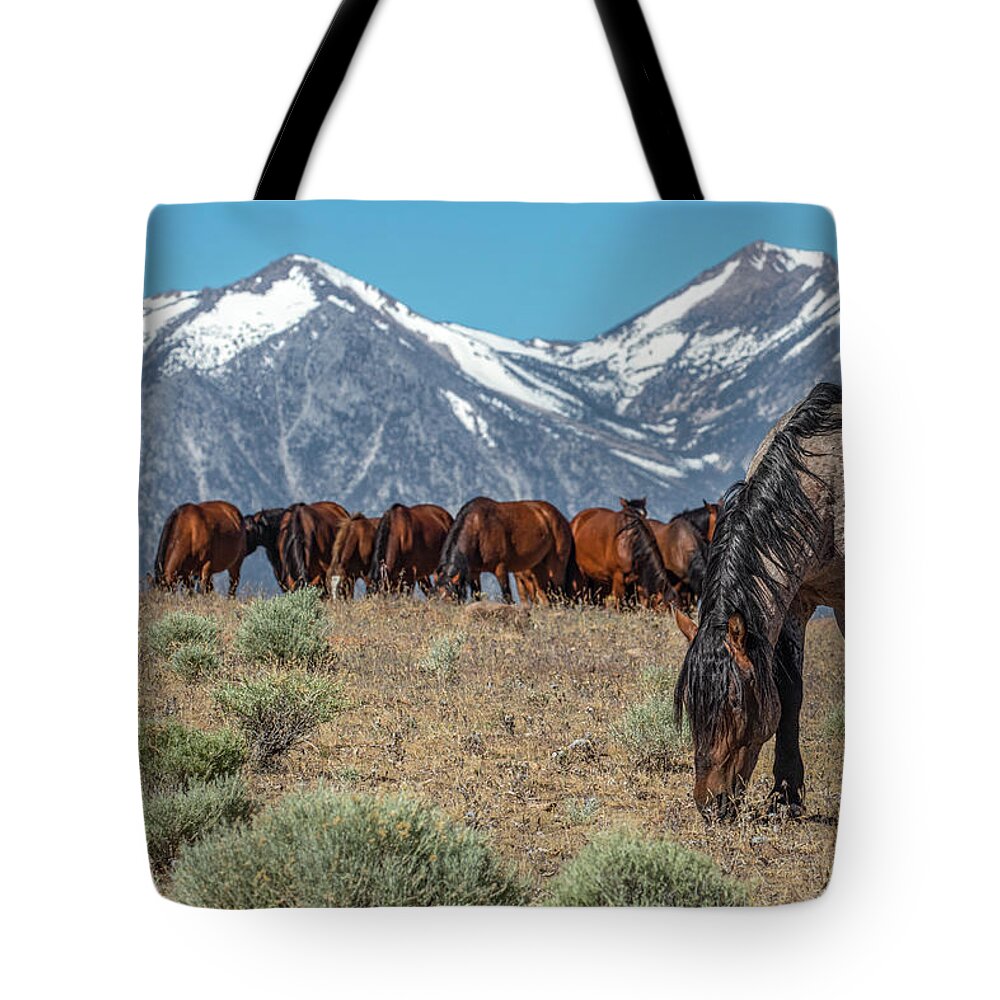  Tote Bag featuring the photograph _t__4940 by John T Humphrey