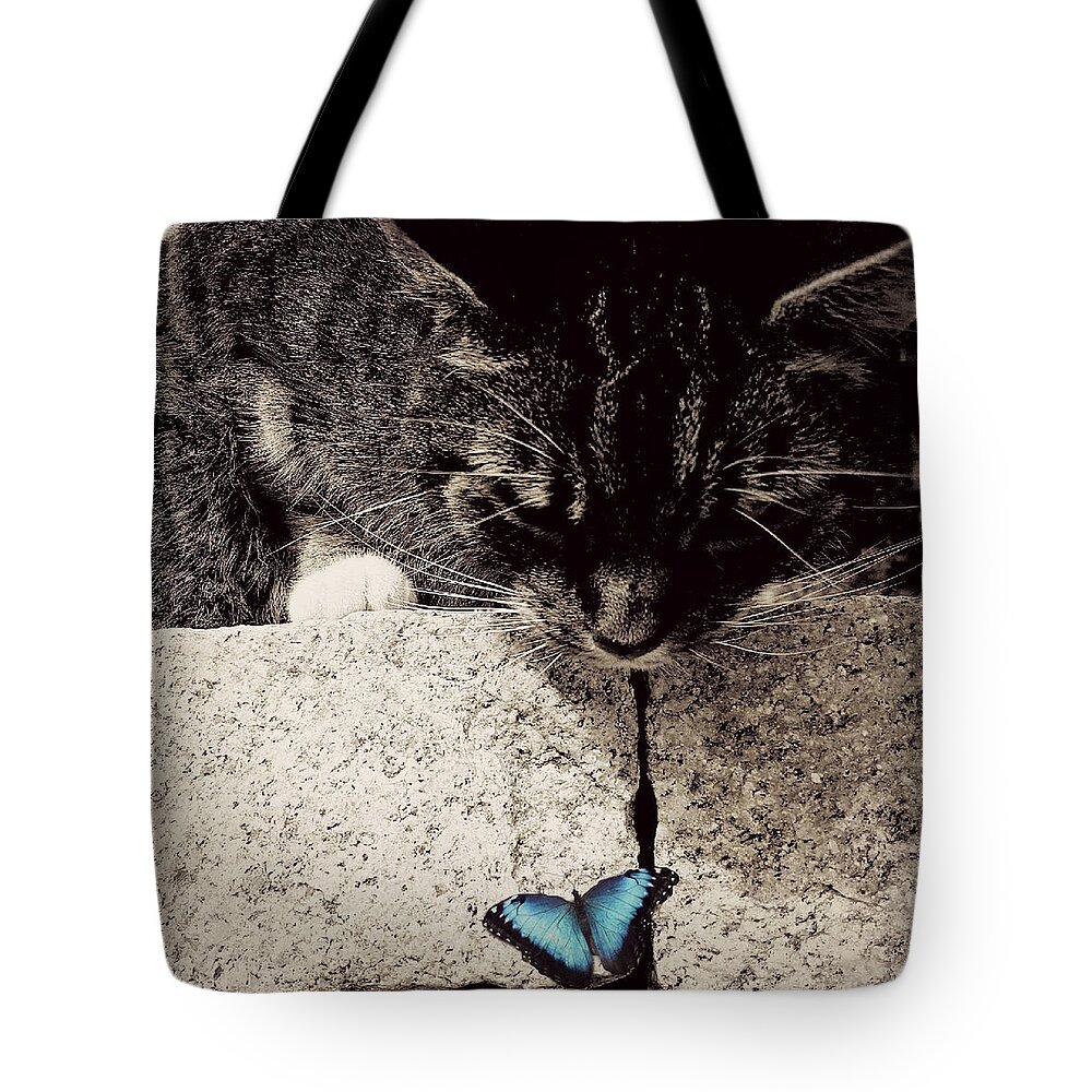 Tabby Tote Bag featuring the photograph Tabby and the Butterfly by Paul Lovering