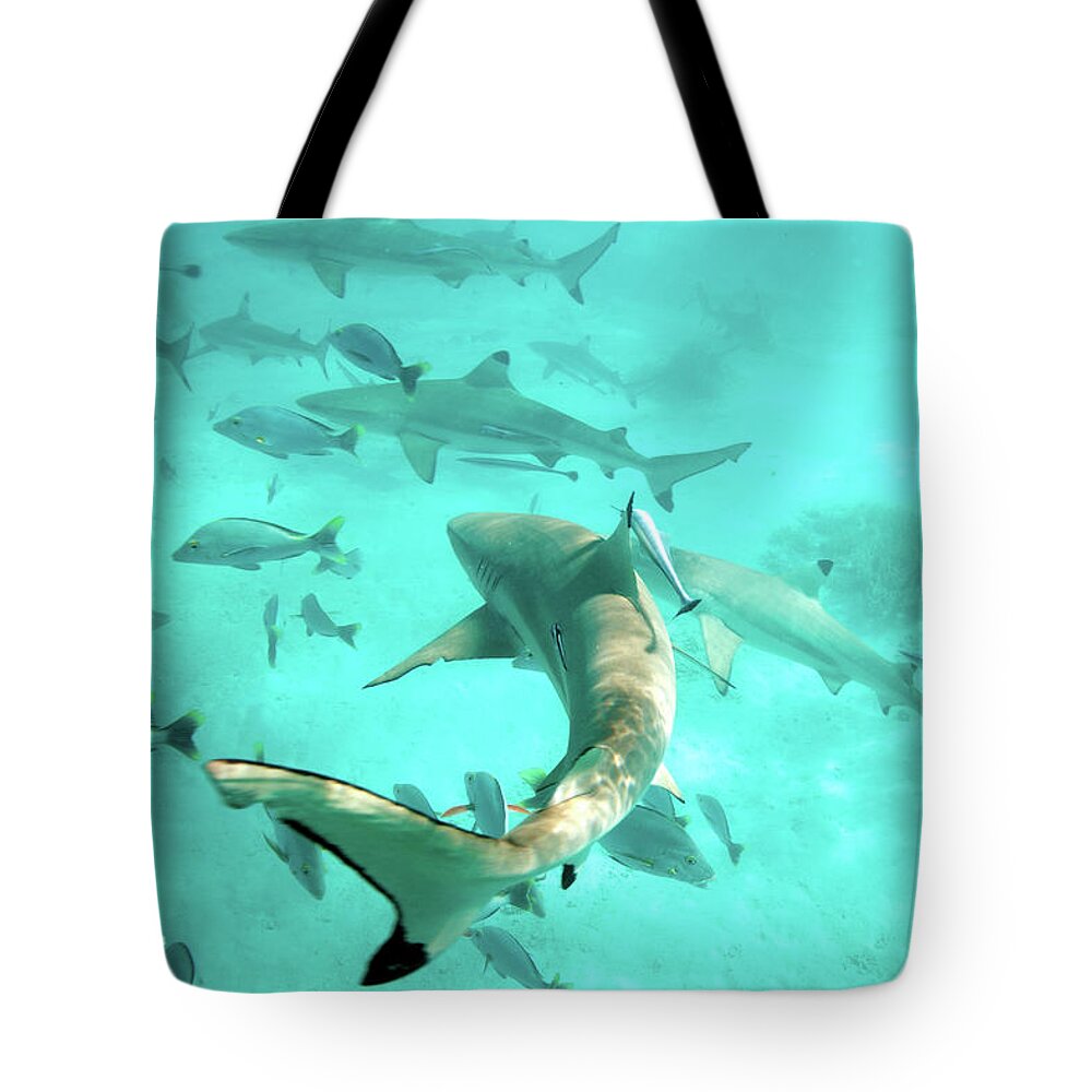 Underwater Tote Bag featuring the photograph Tahiti Sharks by M Swiet Productions