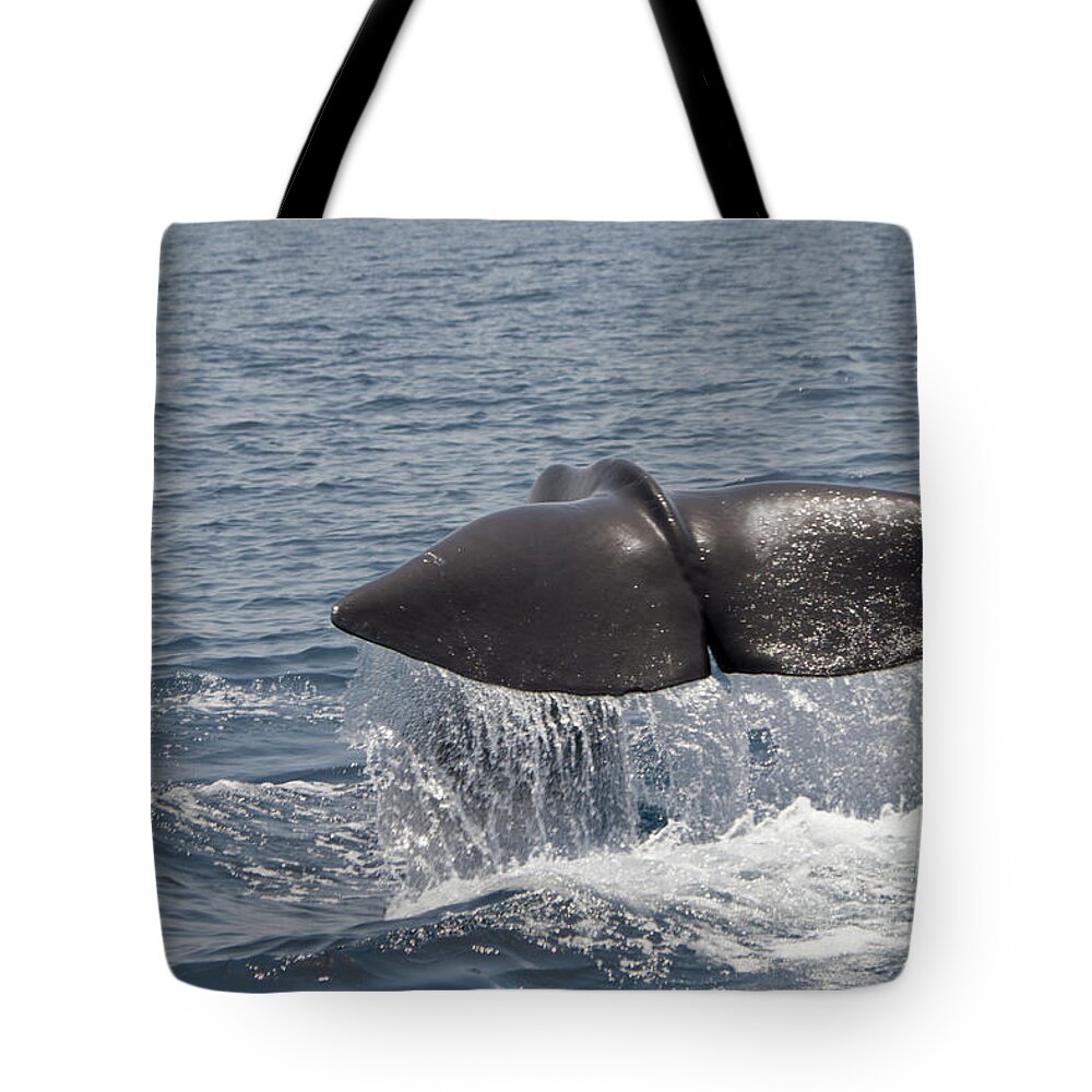 Spray Tote Bag featuring the photograph Tail Of A Whale by Lingbeek