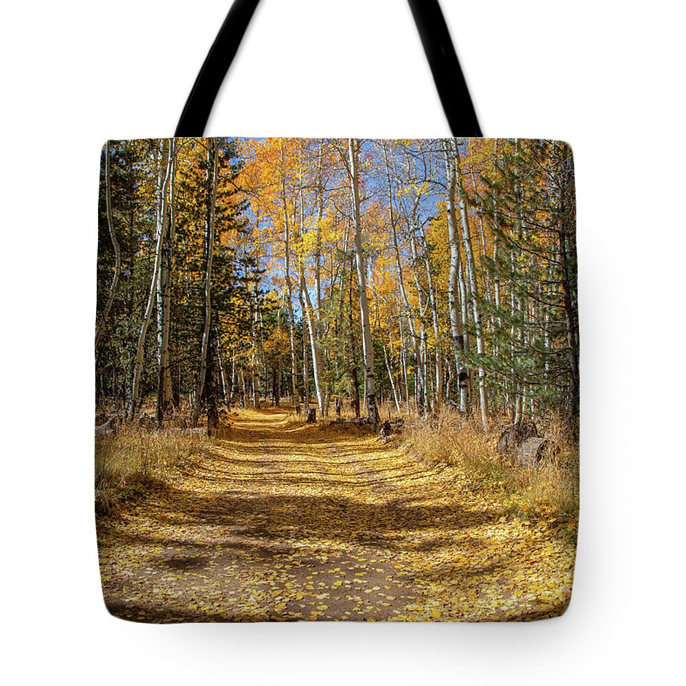 Arizona Tote Bag featuring the photograph Take Me Home Country Road 3 by TL Wilson Photography by Teresa Wilson