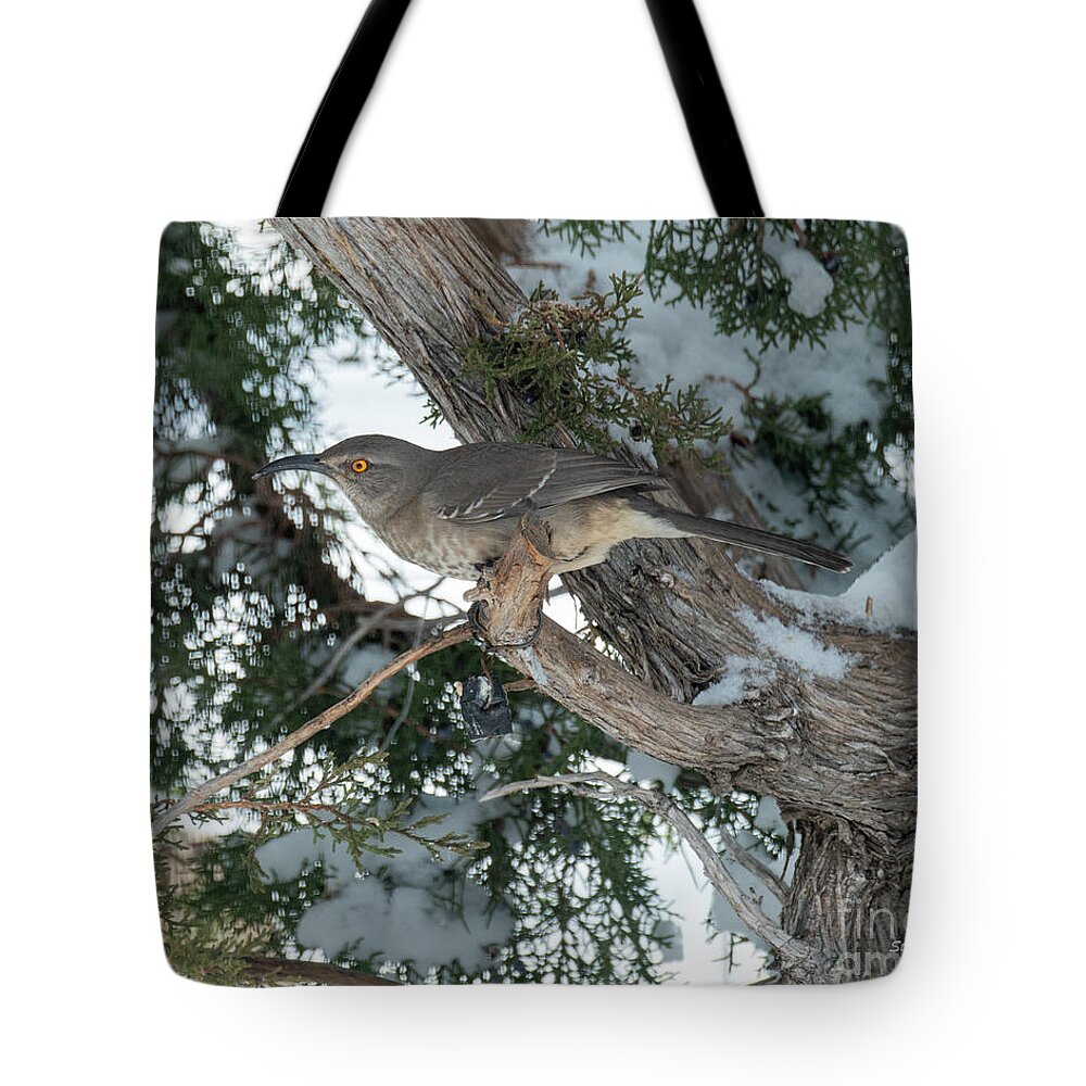 Natanson Tote Bag featuring the photograph Taking Cover by Steven Natanson