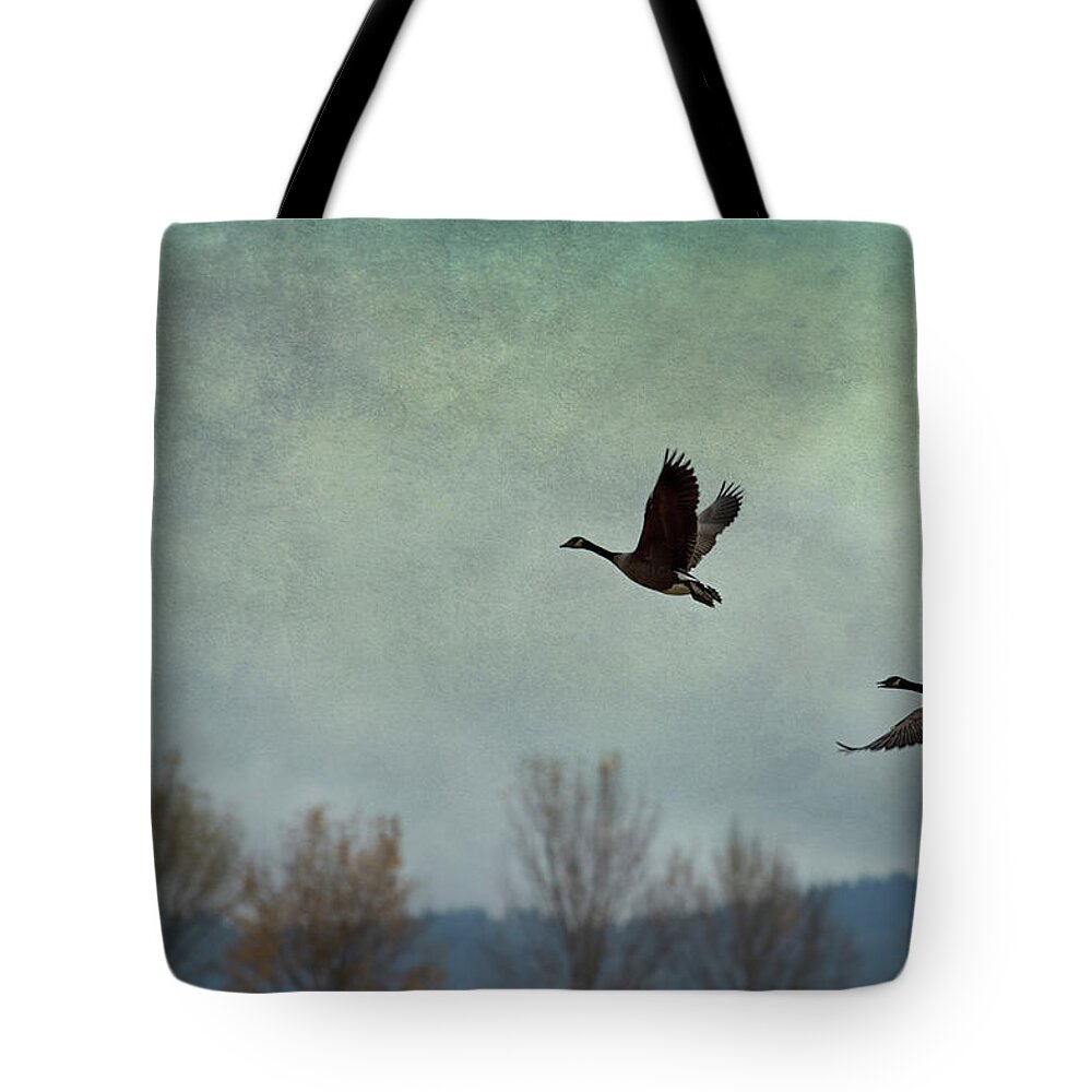 Geese Tote Bag featuring the photograph Taking Flight by Belinda Greb