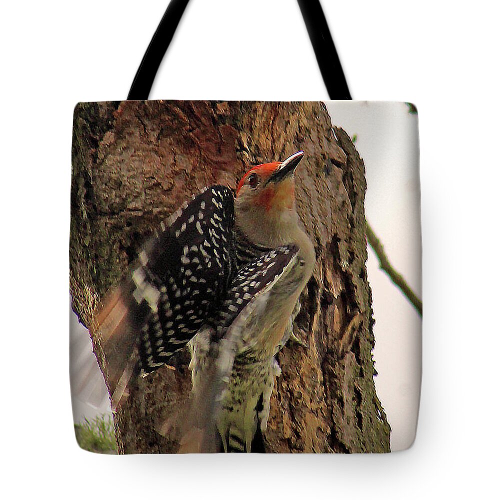 Woodpecker Tote Bag featuring the photograph Taking Off by Michael Allard