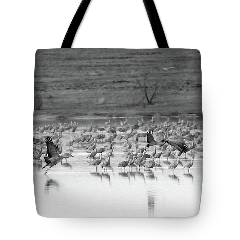 Richard E. Porter Tote Bag featuring the photograph Taking Off - Muleshoe Wildlife Refuge, Texas by Richard Porter