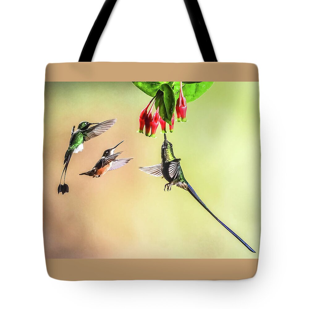 Cory Tote Bag featuring the photograph Taking Turns by Tom and Pat Cory