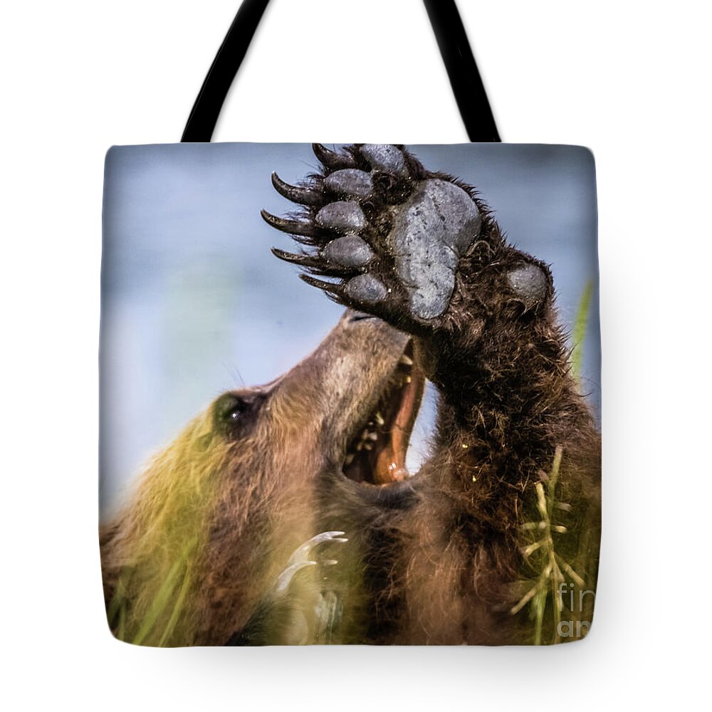 Bear Tote Bag featuring the photograph Talk to the hand... by Lyl Dil Creations