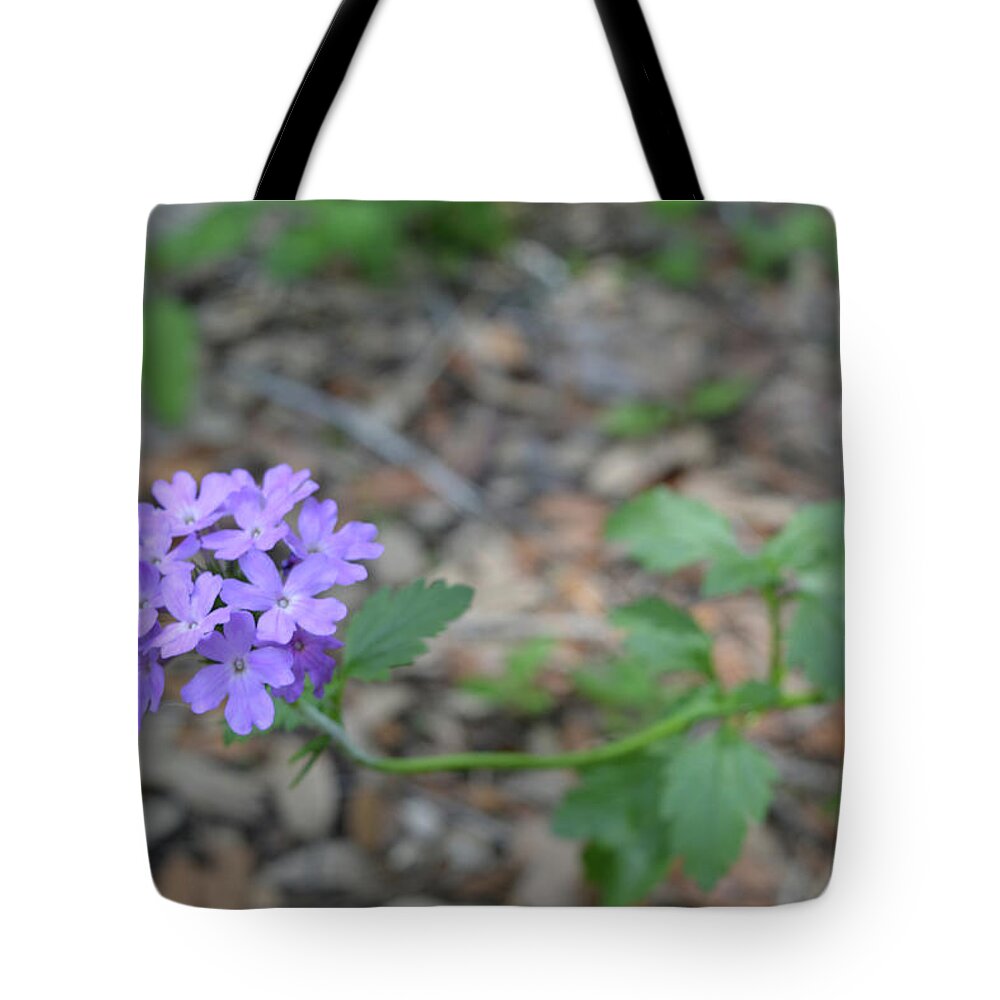 Flower Tote Bag featuring the photograph Tampa Vervain by Aimee L Maher ALM GALLERY