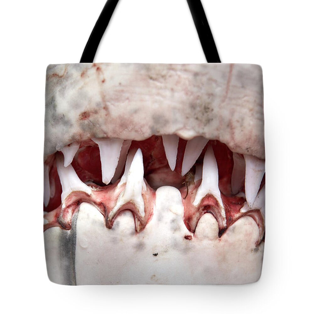 Risk Tote Bag featuring the photograph Teeth In Mouth Of Great White Shark by Andrew Holt