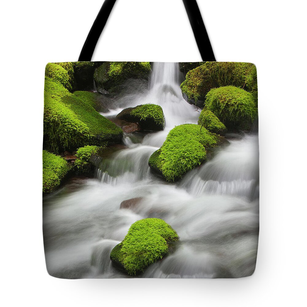 Outdoors Tote Bag featuring the photograph Temperate Rain Forest Stream by Antonyspencer