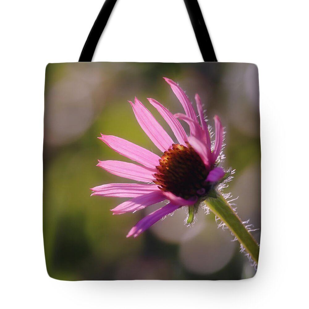 Echinacea Tennesseensis Tote Bag featuring the photograph Tennessee State Wildflower by Laura Vilandre