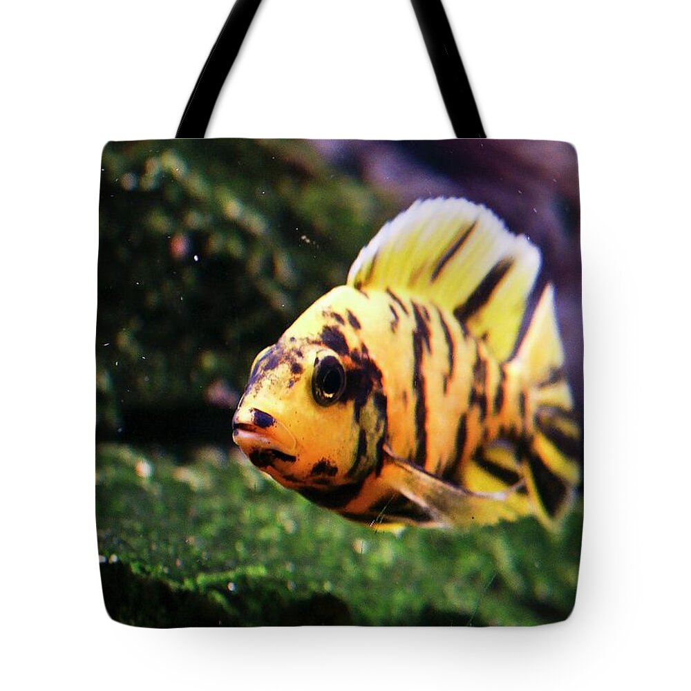  Tote Bag featuring the digital art Test Adobe RGB by Don Northup