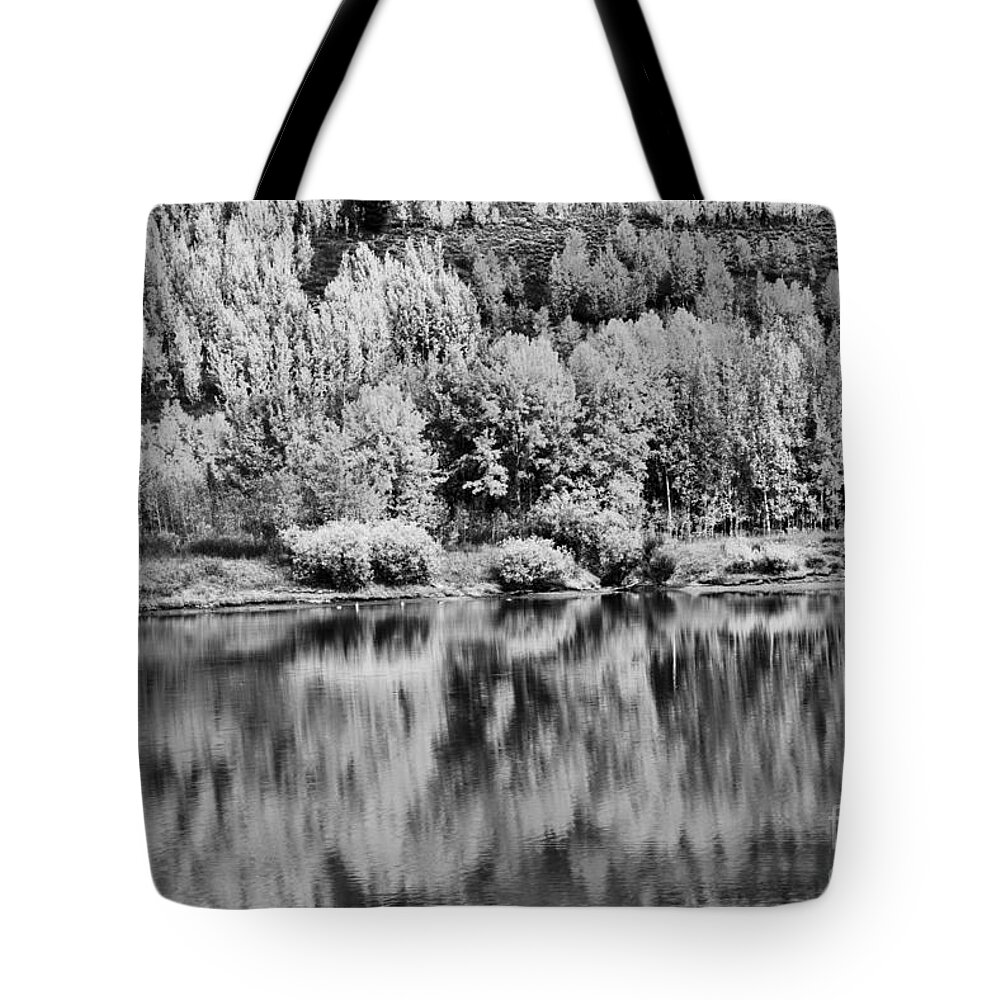 Oxbow Tote Bag featuring the photograph Teton Fall Foliage Reflections Black And White by Adam Jewell
