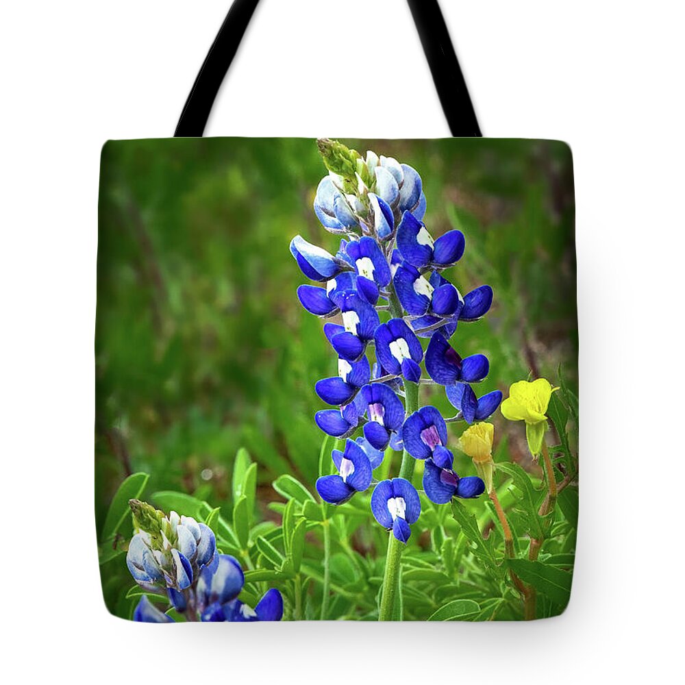 Texas Tote Bag featuring the photograph Texas Bluebonnet by Harriet Feagin