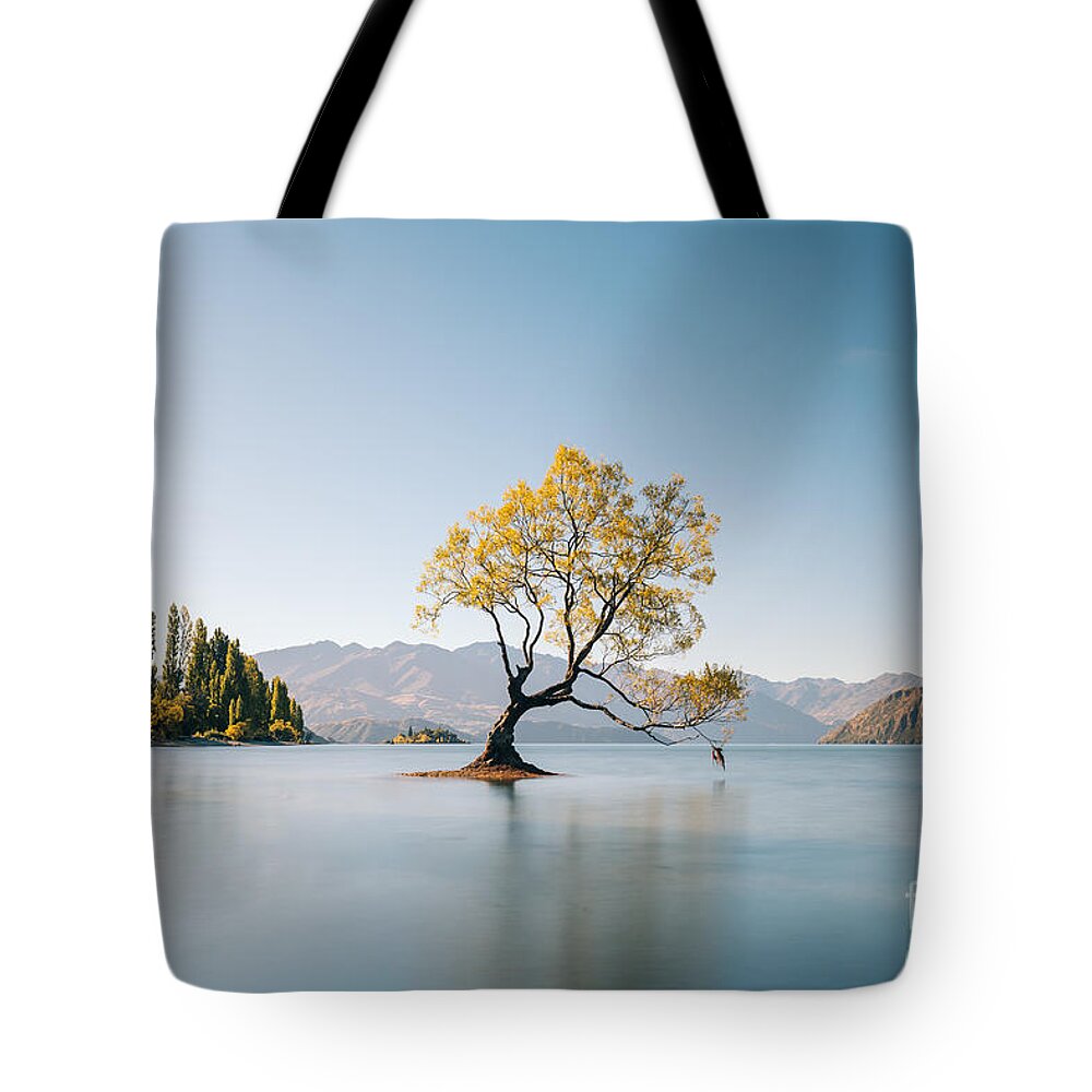 Scenics Tote Bag featuring the photograph That Wanaka Tree by Kaitlyn Mclachlan