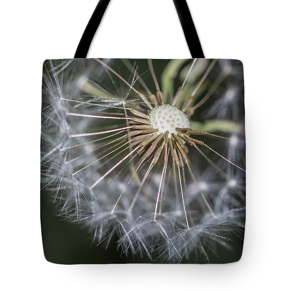 Dandelion Tote Bag featuring the photograph That's Just Dandy 2 by Dusty Wynne