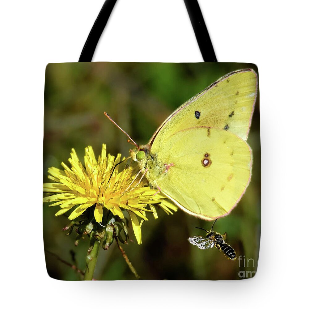Sulphur Tote Bag featuring the photograph The Bee and the Butterfly by Amy Porter