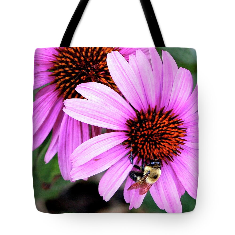 Pink Tote Bag featuring the photograph The Bee's Knees by Misty Morehead