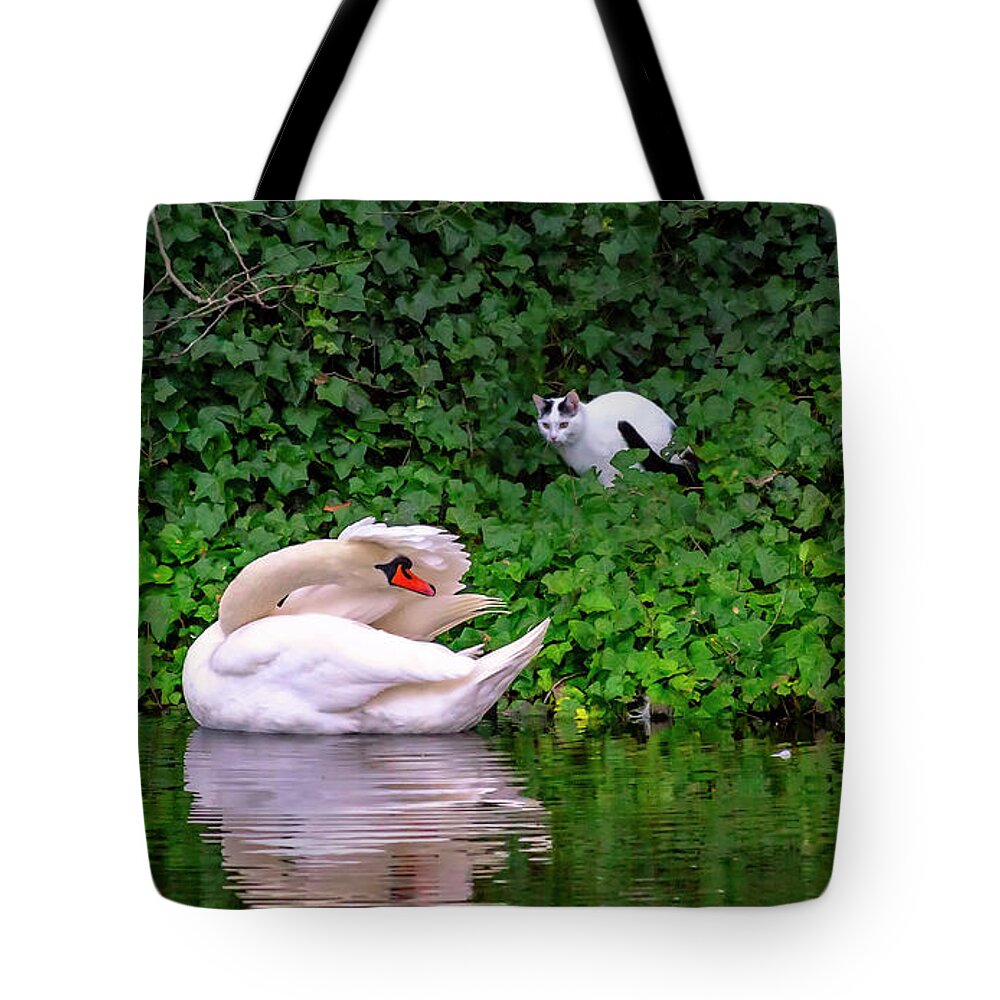 Cat Tote Bag featuring the photograph The Cat and the Swan by Micah Offman
