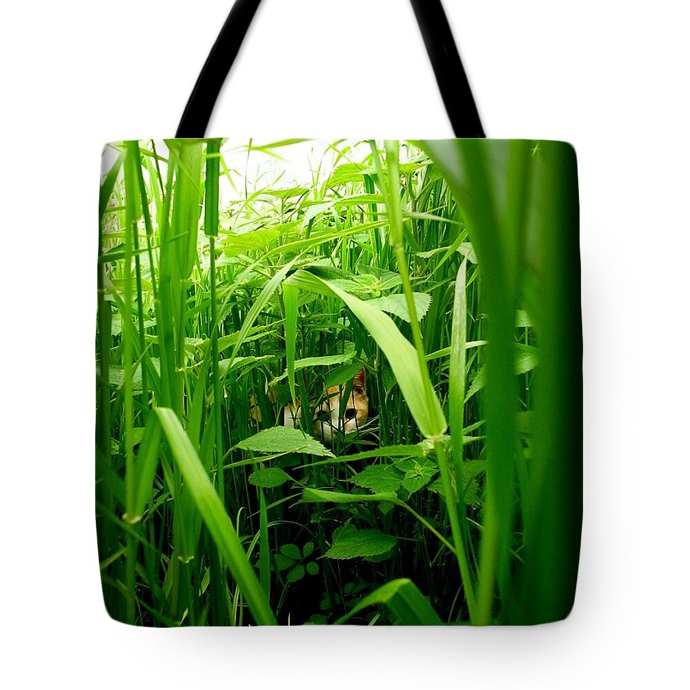 Hiding Tote Bag featuring the photograph The Cat In A Grassy Place by Photographer, Loves Art, Lives In Kyoto