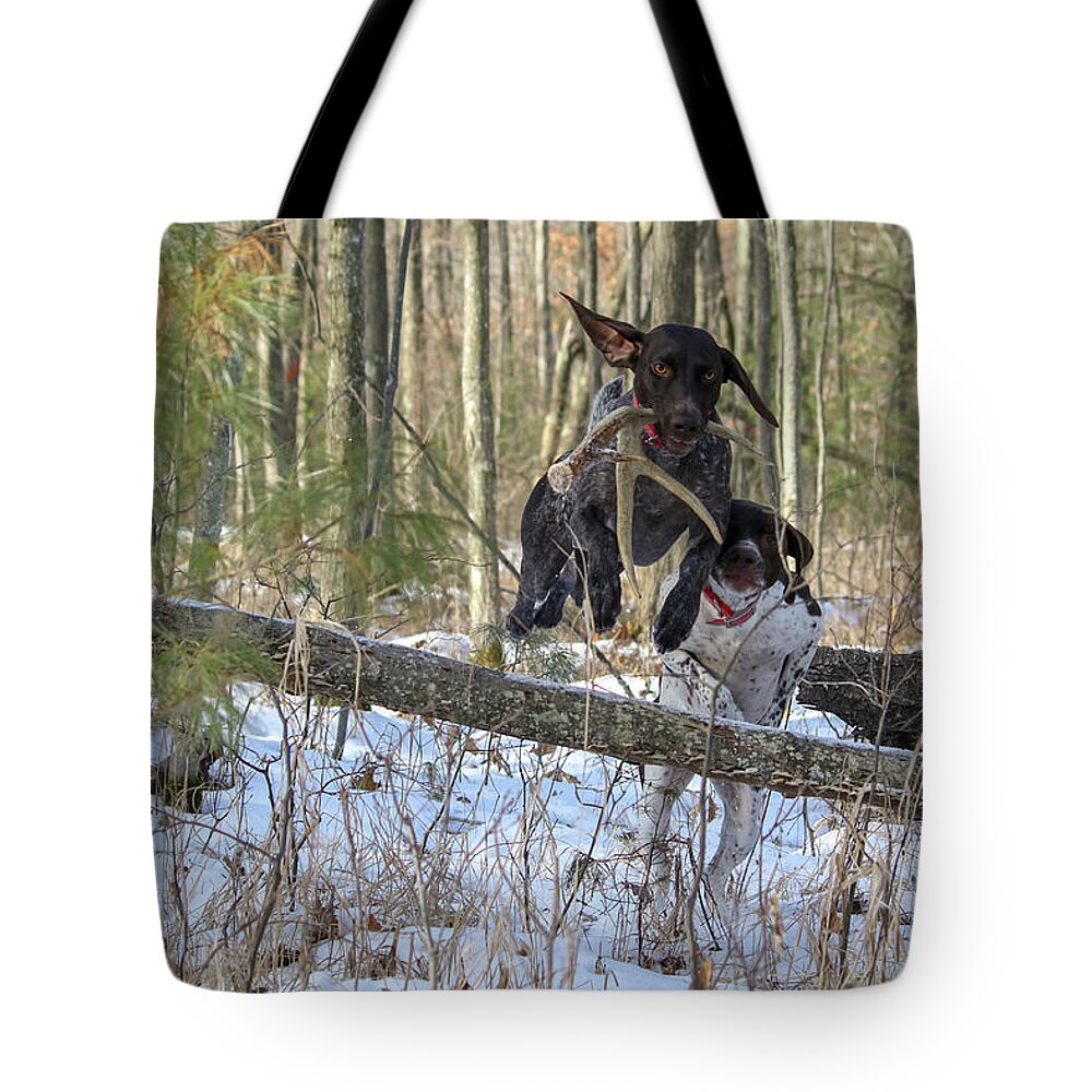 Gsp Tote Bag featuring the photograph The Chase is On by Brook Burling