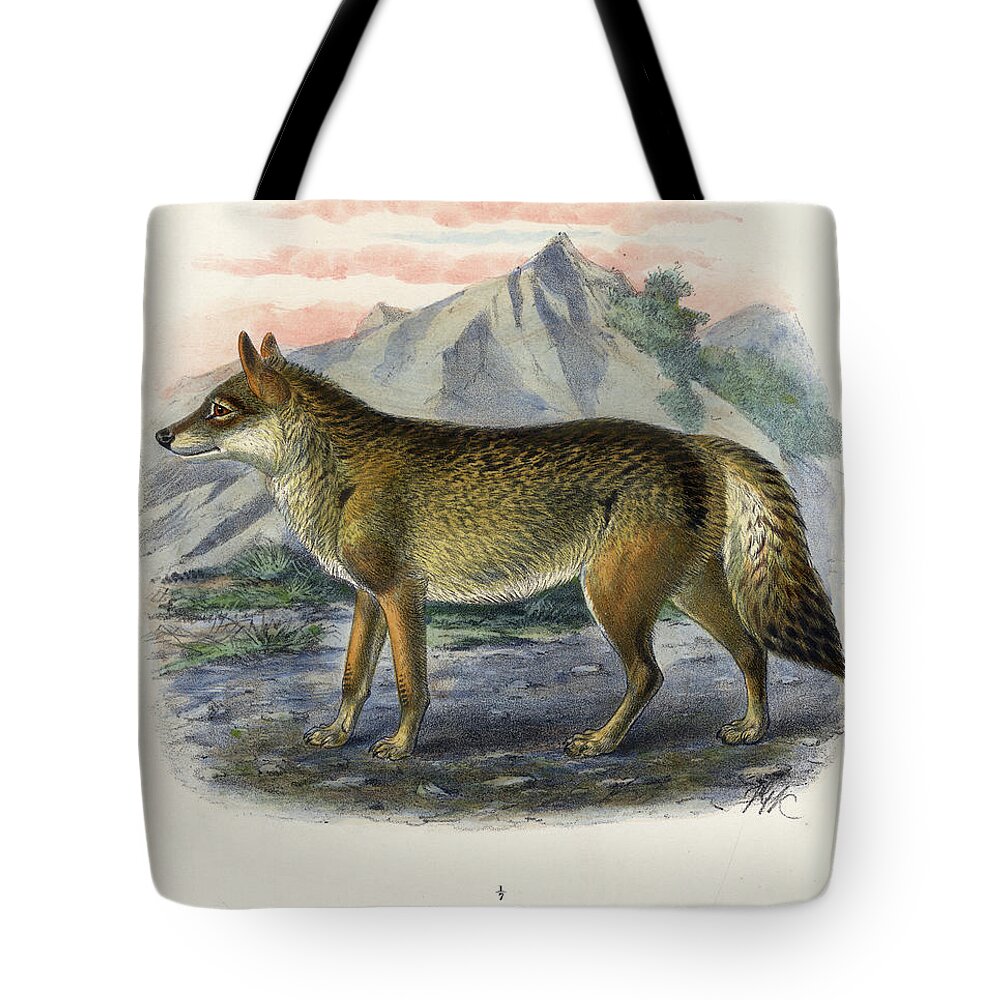 The Common Wolf Tote Bag featuring the painting The common wolf by St George Jackson Mivart