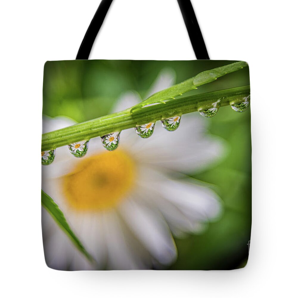 Daisy Chain Tote Bag featuring the photograph The Daisy Chain by Melissa Lipton