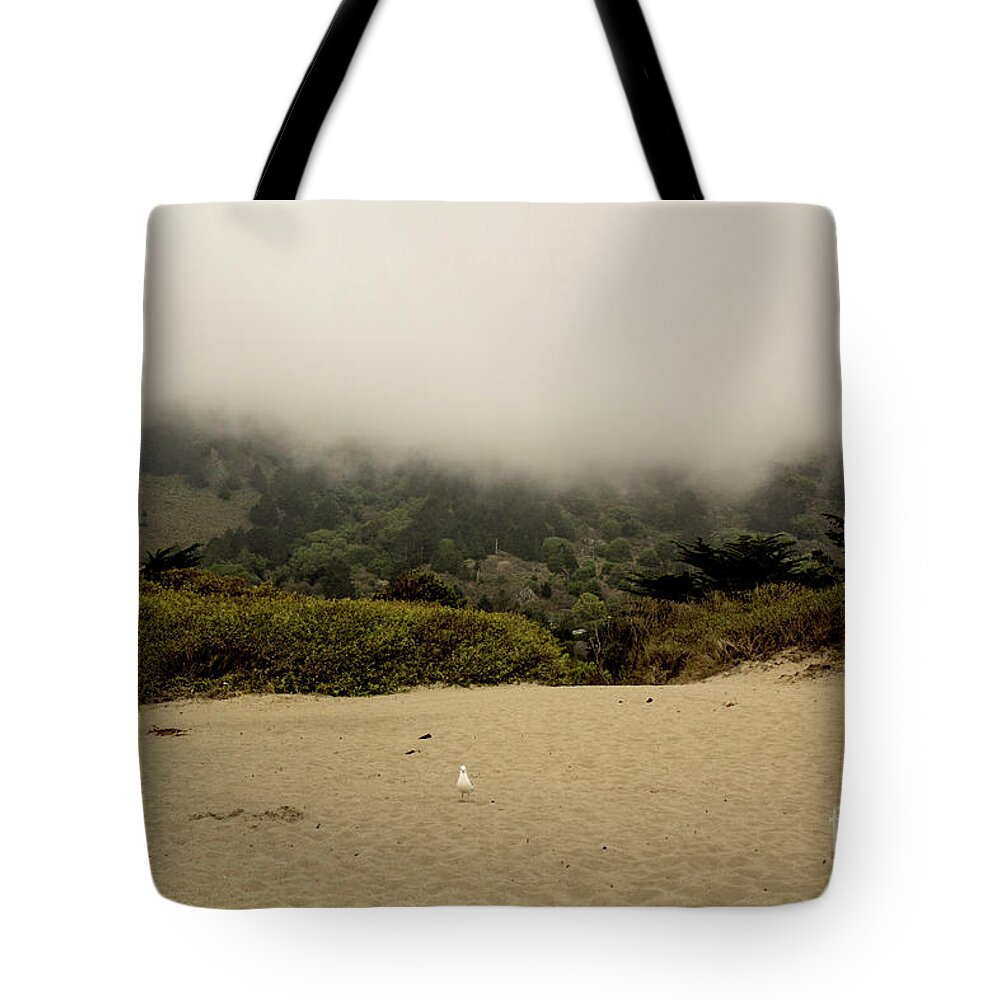 Seagull Tote Bag featuring the photograph The Early Bird by John Langdon
