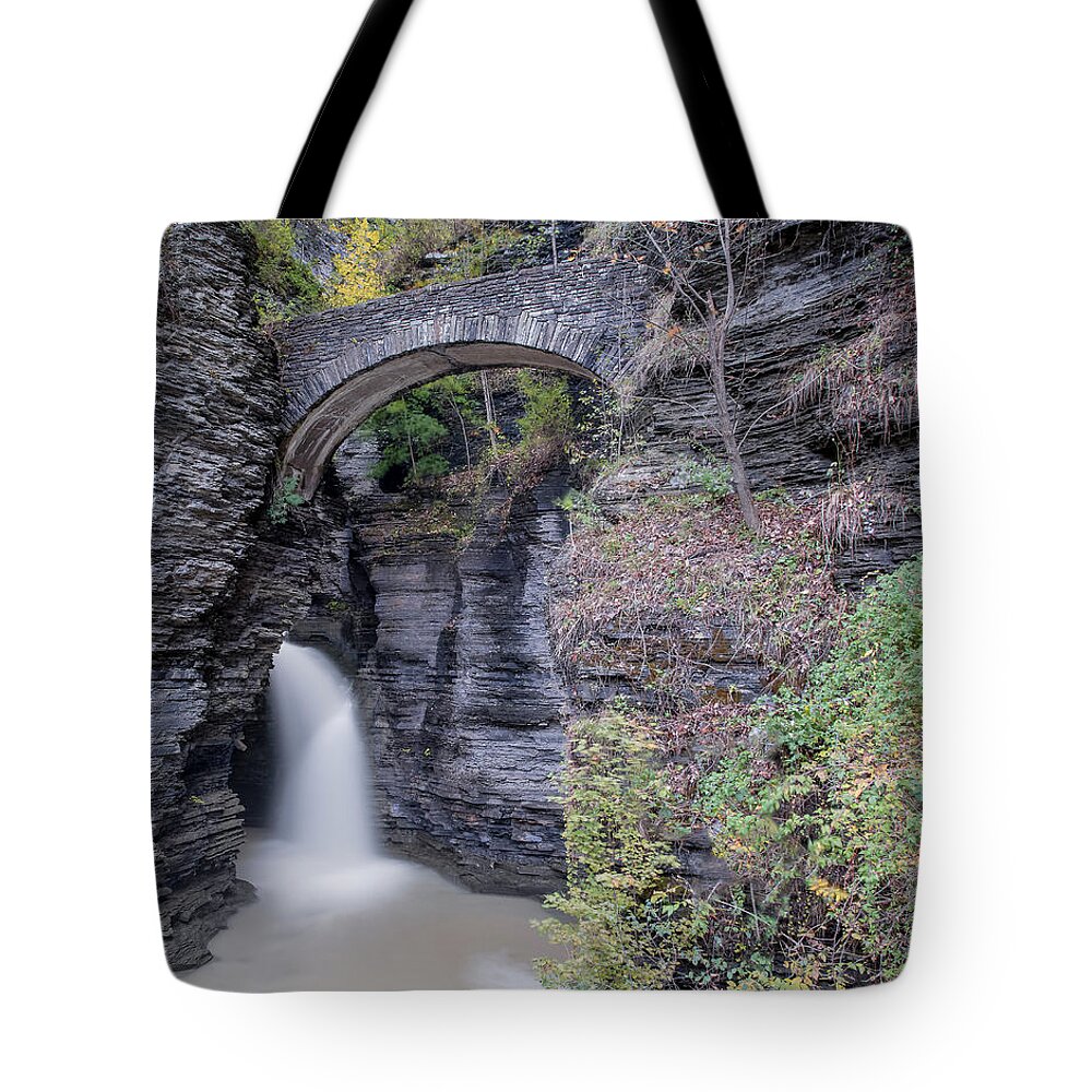 State Park Tote Bag featuring the photograph The Entrance by Angelo Marcialis
