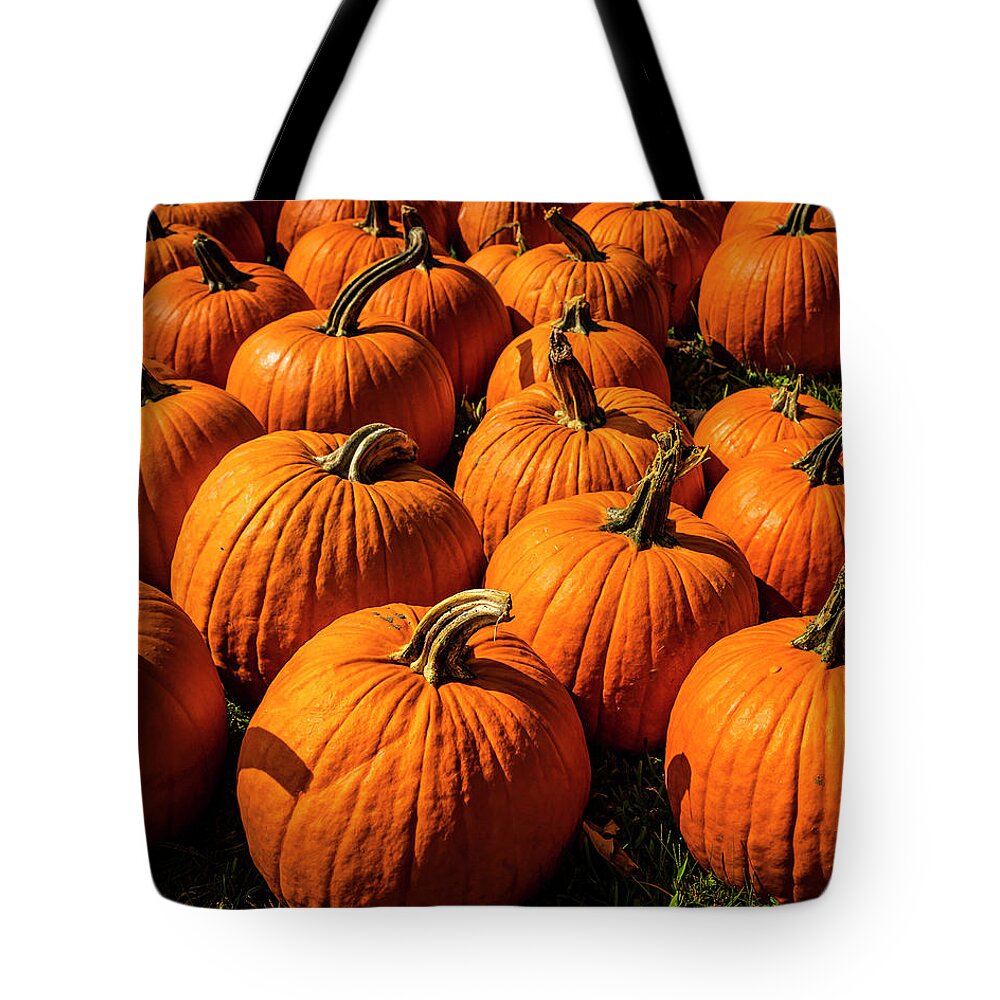 2018 Tote Bag featuring the photograph The Gathering by Ray Silva