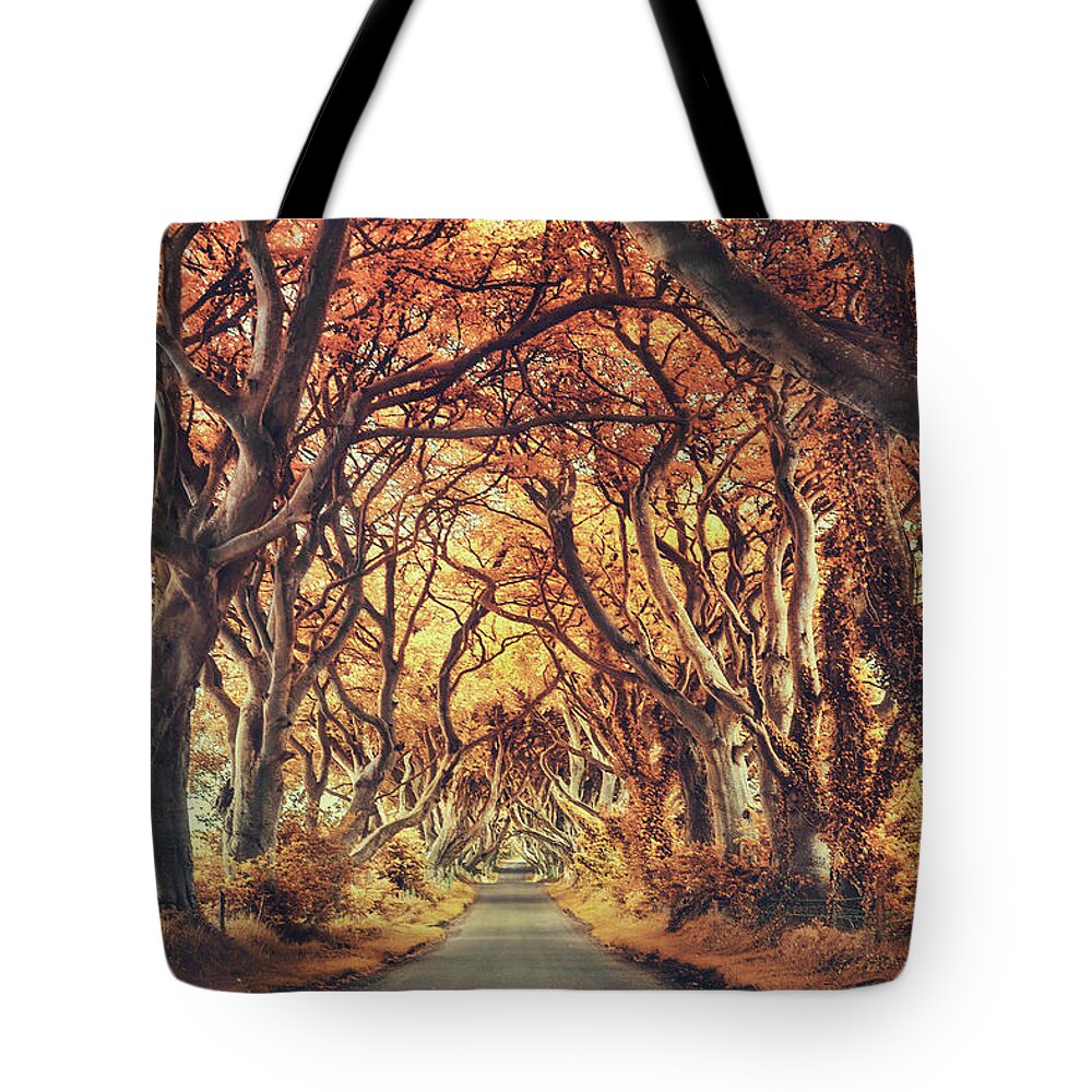 Kremsdorf Tote Bag featuring the photograph The Golden Path by Evelina Kremsdorf