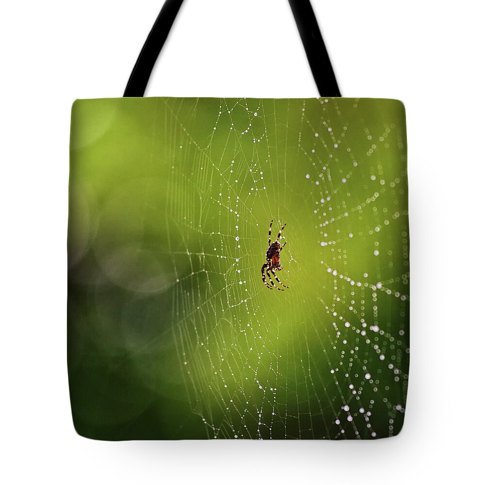 Spider Tote Bag featuring the photograph The great architect in the morning light by Tatiana Travelways
