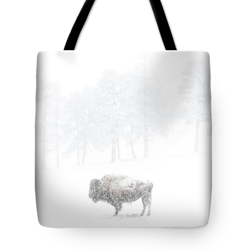 The Tote Bag featuring the photograph The Great White Buffalo by Brian Gustafson