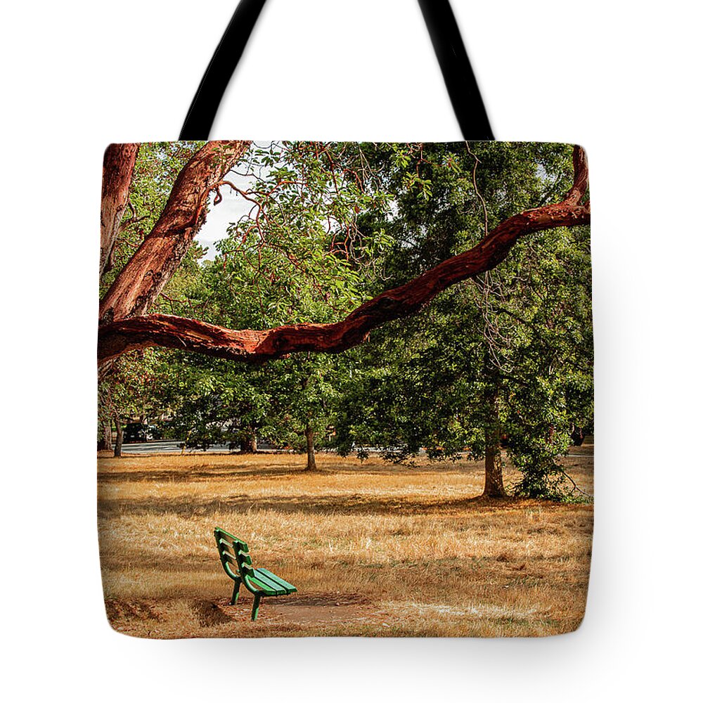 Landscapes Tote Bag featuring the photograph The Green Bench by Claude Dalley