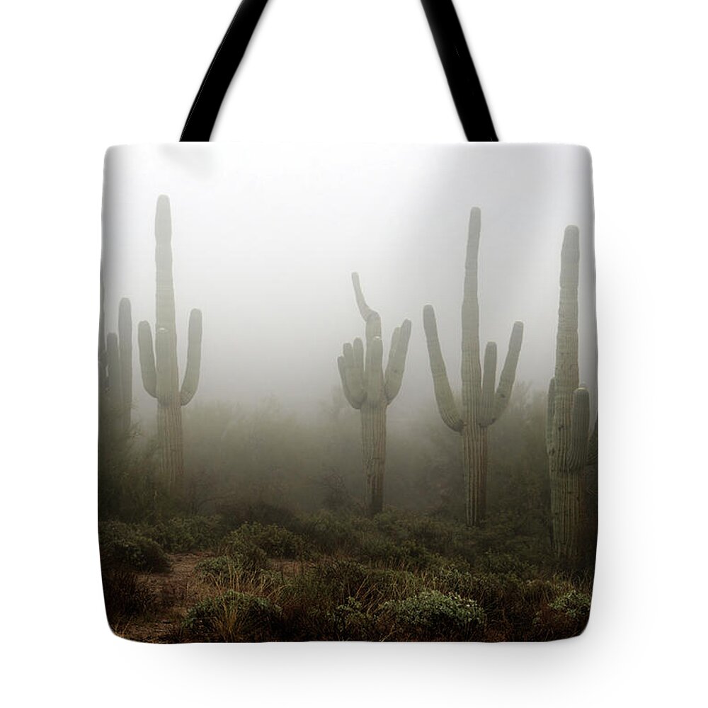Fog Tote Bag featuring the photograph The Hauntingly Beautiful Sonoran Desert by Saija Lehtonen