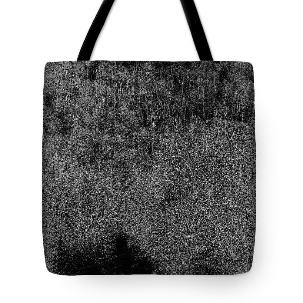 The Hillside Tote Bag featuring the photograph The Hillside by David Patterson