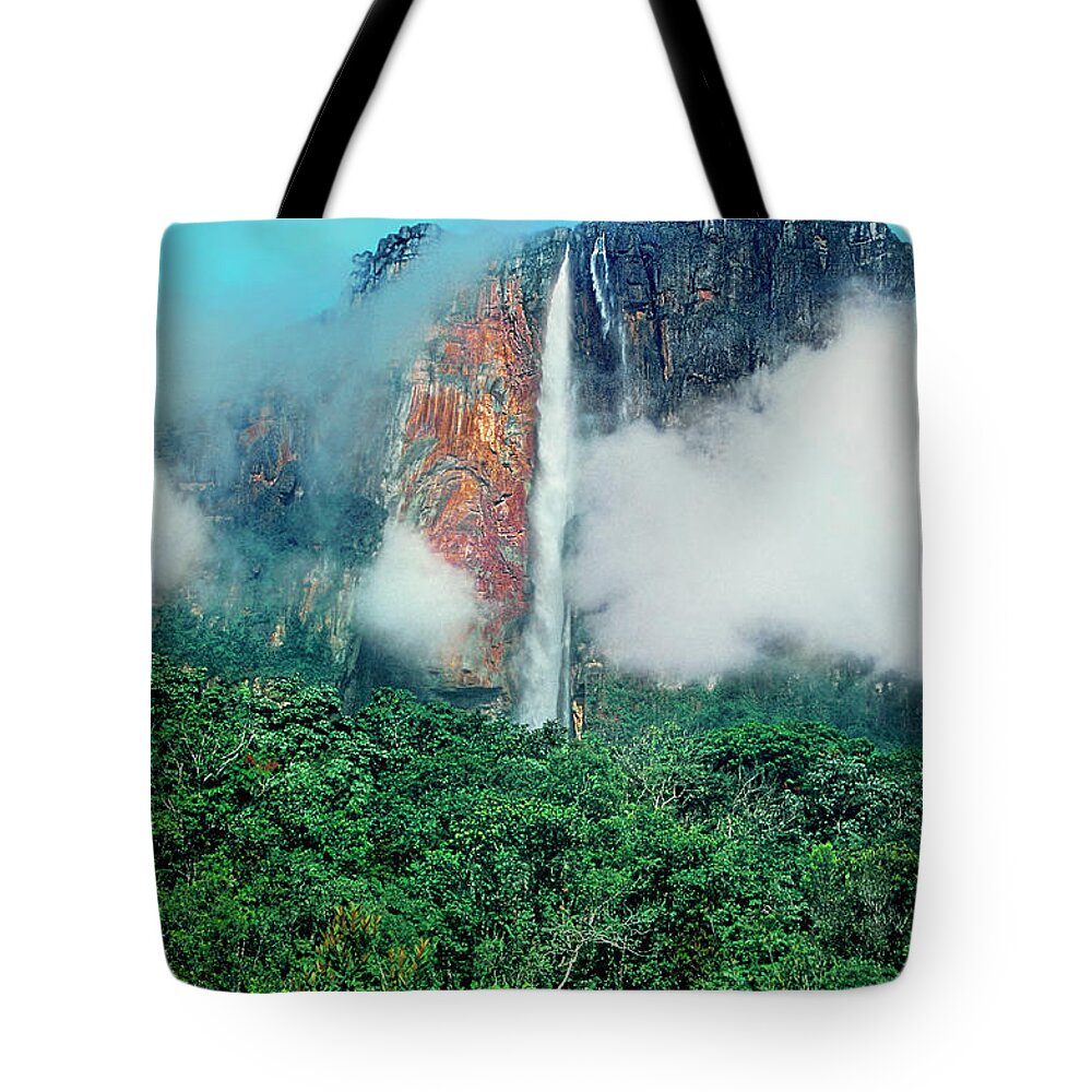 Dave Welling Tote Bag featuring the photograph The Jungle Surrounds Angel Falls And Tropical Rainforest Canaima Np Venezuela by Dave Welling