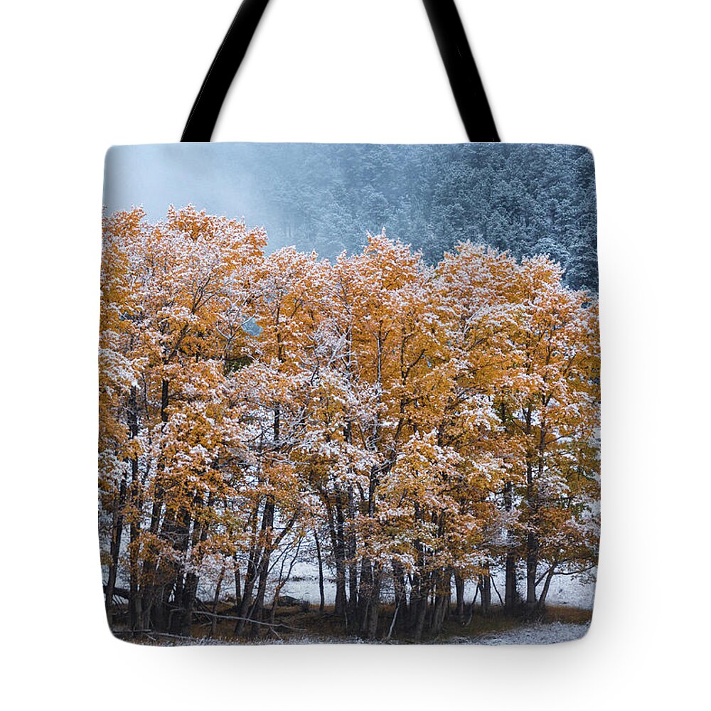 Autumn Tote Bag featuring the photograph The Last In Line by John De Bord