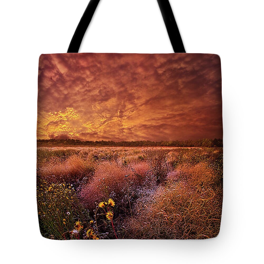 Colors Tote Bag featuring the photograph The Light So Softly Spoken by Phil Koch
