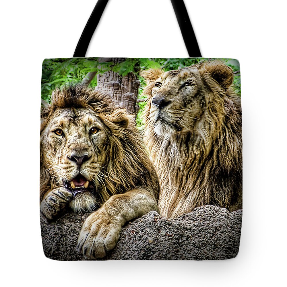 The Lion King Tote Bag by Created By Swasti Verma - Photos.com