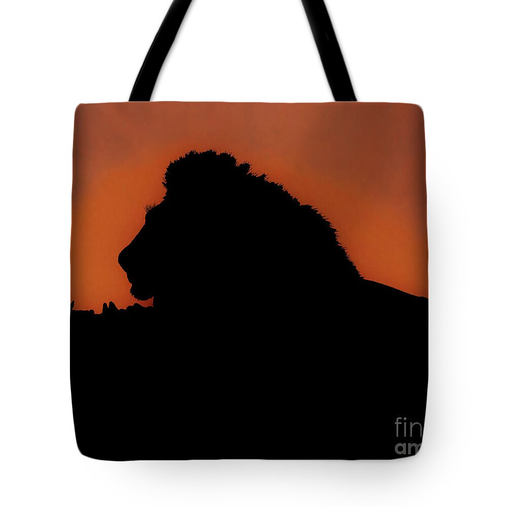 Lion Tote Bag featuring the drawing The Lion King by D Hackett
