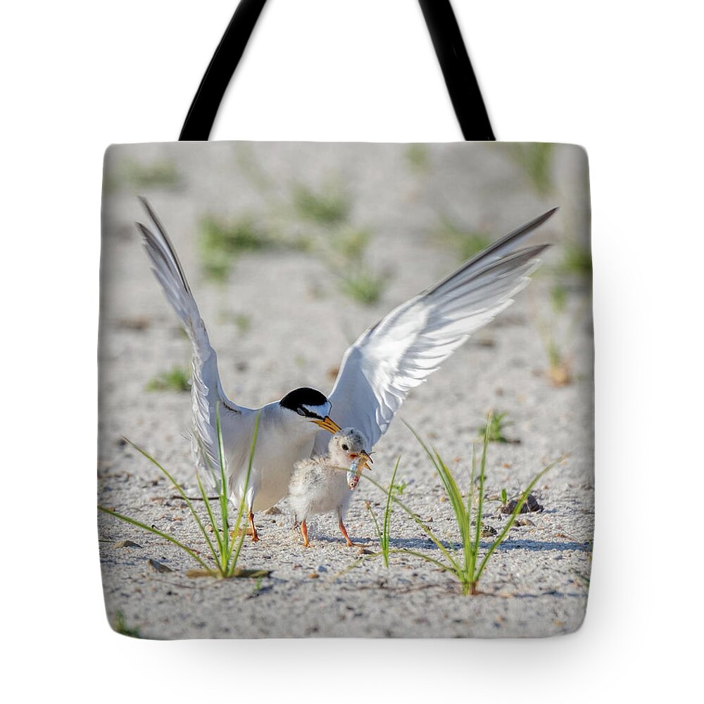 Bird Tote Bag featuring the photograph The Littlest Thief 2 by Susan Rissi Tregoning