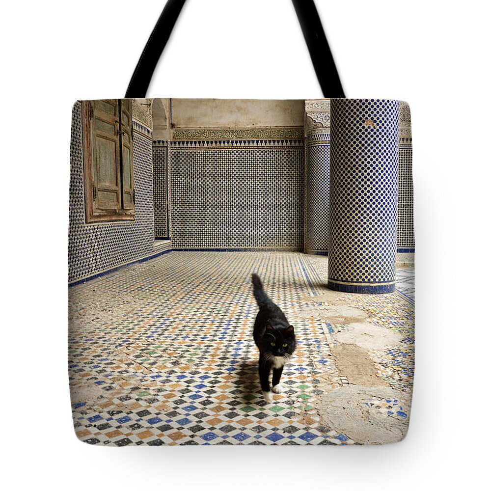 Cat Tote Bag featuring the photograph The lord of the decaying palace in Fez by Yavor Mihaylov