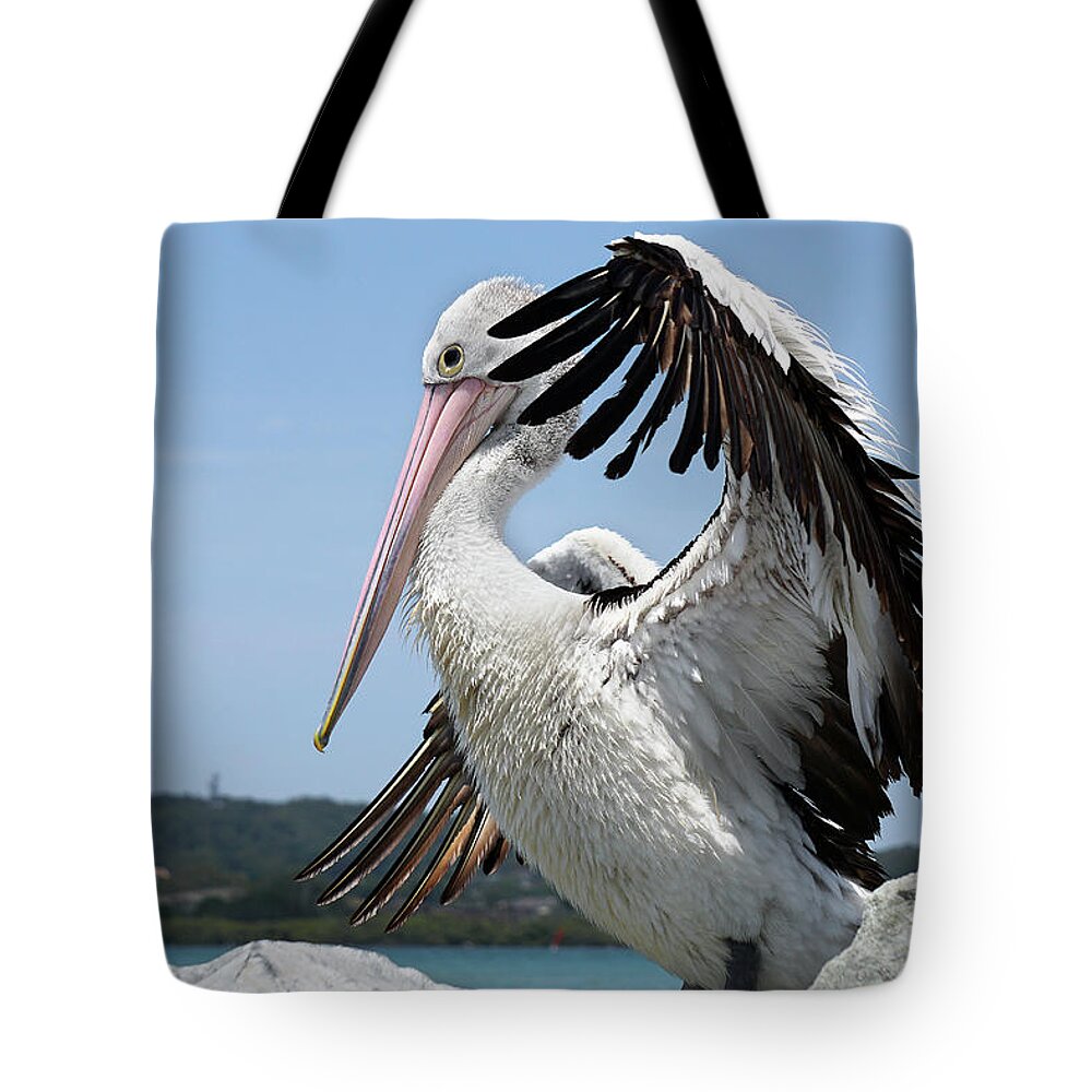 Pelicans Australia  Tote Bag featuring the digital art The love of pelicans 02 by Kevin Chippindall