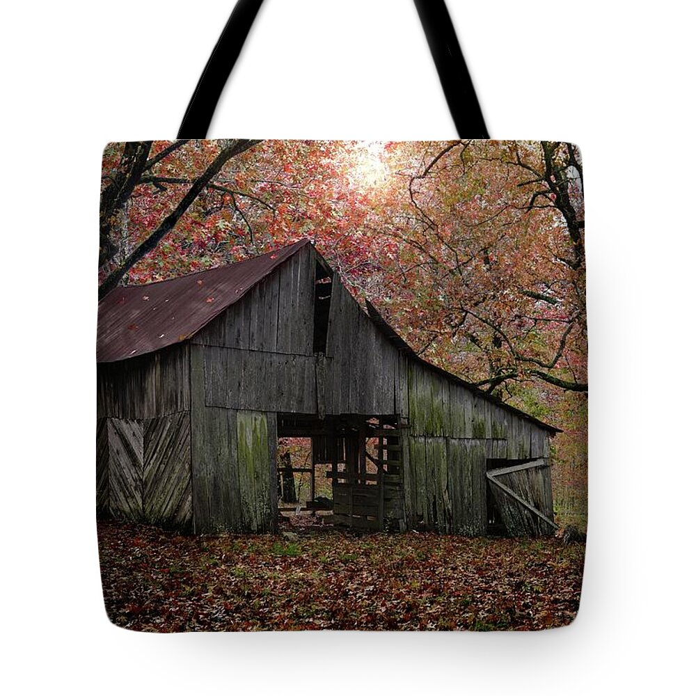 Barns Tote Bag featuring the photograph The Old Barn by Bill Stephens