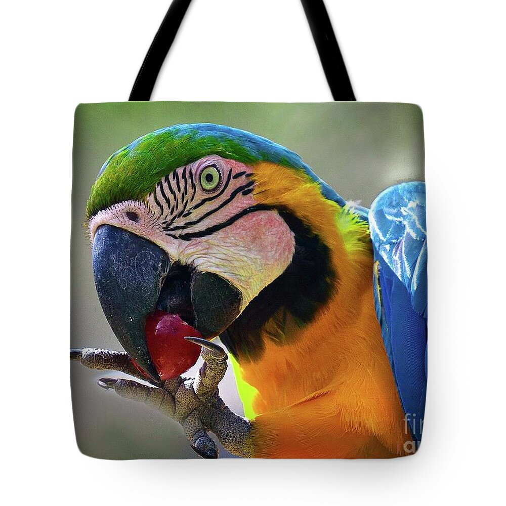  Tote Bag featuring the photograph The Parrot by Hugh Walker
